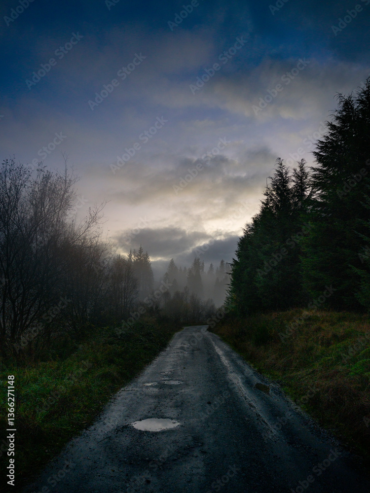 Fototapeta premium Route forestière écossaise sous un ciel chargé à la tombée du jour