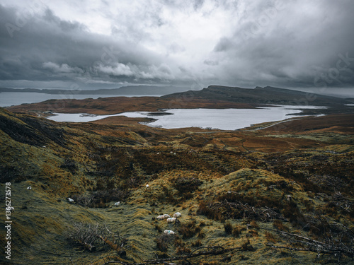 Paysage tourmenté des Highlands