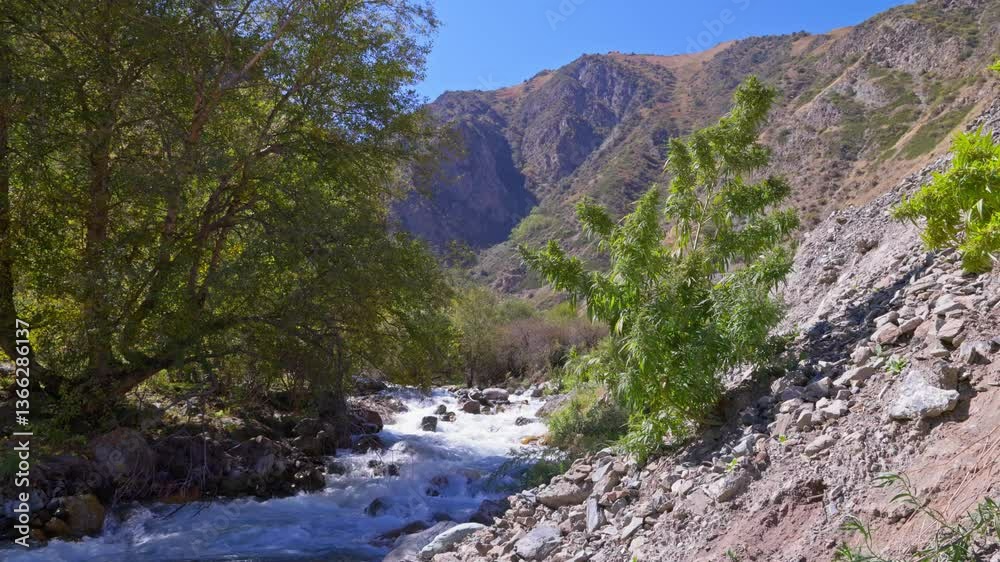 A wild hemp bush sways in the wind by a mountain river in Kyrgyzstan on a sunny autumn day. Static camera with selective focus captures the rugged landscape and vibrant greenery. A wild hemp bush sways in the wind by a mountain river in Kyrgyzstan on a sunny autumn day. Static camera with selective focus captures the rugged landscape and vibrant greenery.