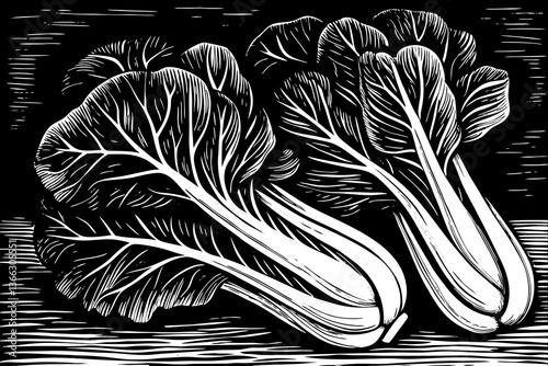 Bok choy vegetable sketch hand drawn black and white outline illustration