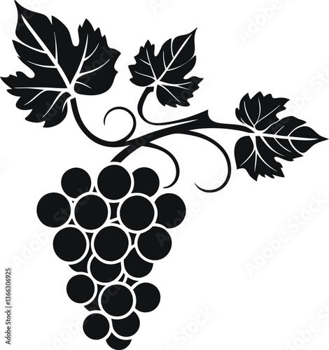 Black silhouette of grapevine with clusters of grapes and leaves, vector illustration