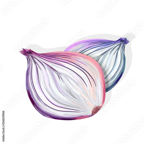 two slices of red onion isolated on white background