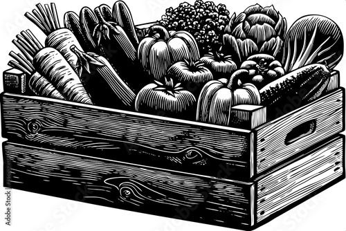 hand drawn sketch pine box full of black and white fresh vegetables illustration