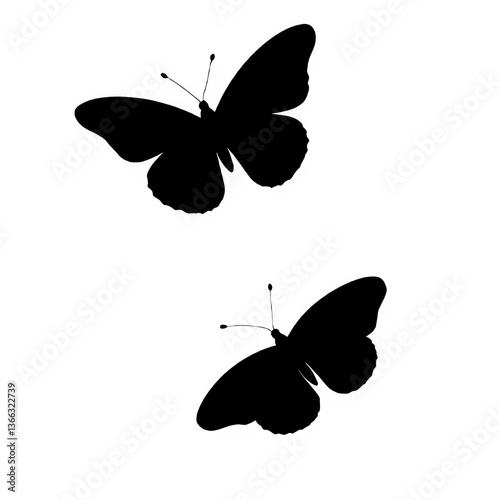 Isolated butterfly vector a beautiful insect against a clean white background
