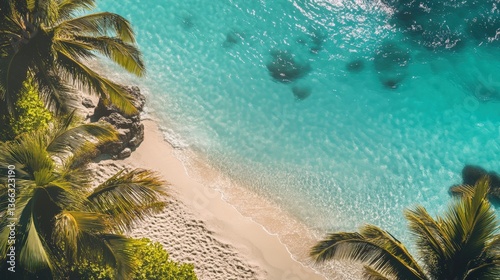 Paradise Coastline: An aerial view captures the idyllic beauty of a tropical beach, where crystal-clear turquoise waters gently caress the pristine golden sands, framed by lush green palm trees.