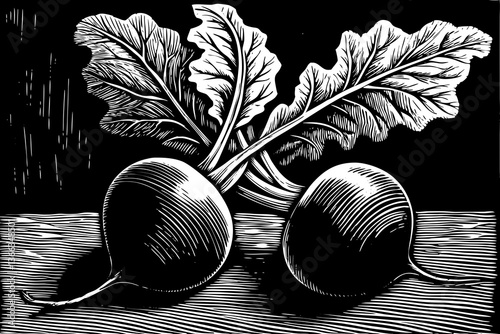 Beetroot vegetable hand drawn sketch black and white illustration