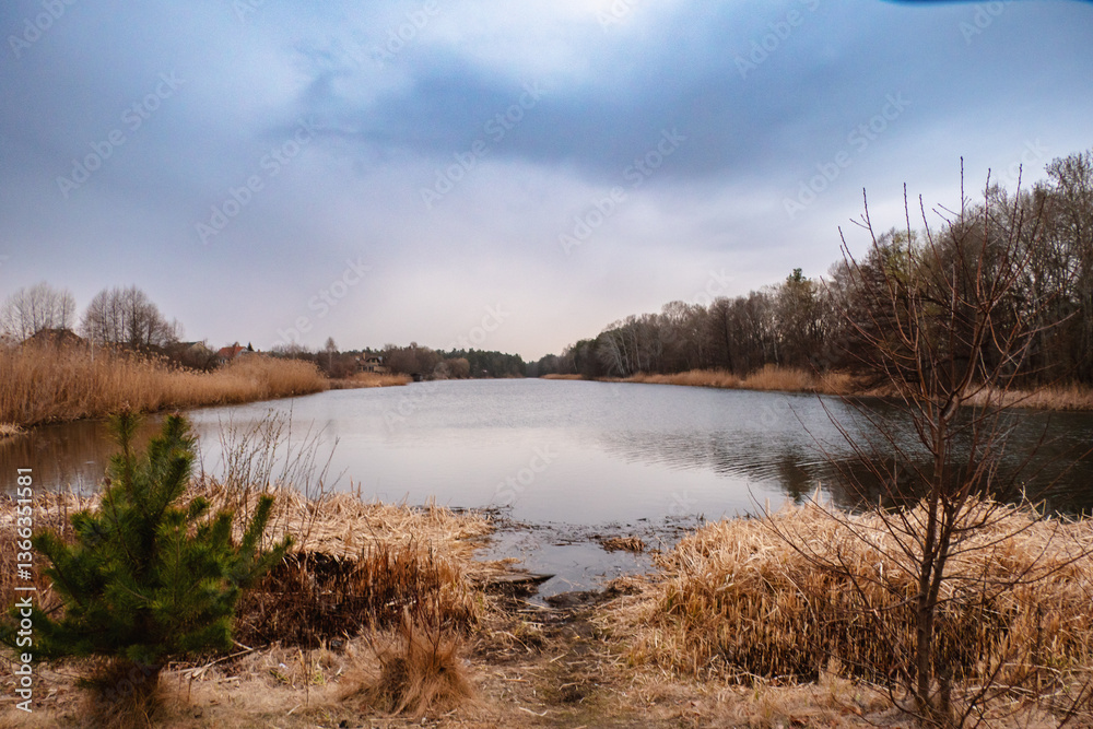 A calm lake surrounded by reeds and bare trees under an overcast sky, suggesting a serene natural landscape.