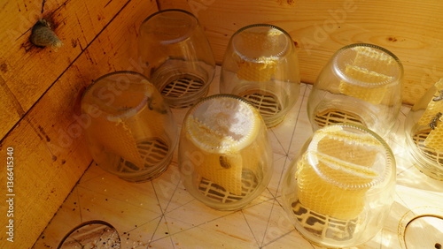 Jar with honeycombs. Bees carry honey in a jar. A swarm of bees around a jar, in an apiary.