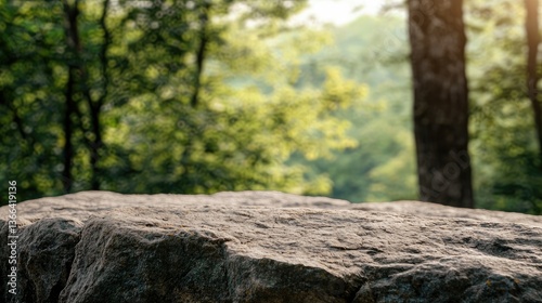 Forest stone table background nature