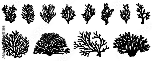 Seaweed silhouettes, coral black icon. Abstract organic shape, underwater plant, matisse element, cute sea doodle. Cartoon marine floral set isolated on white background. Trendy minimal vector set.