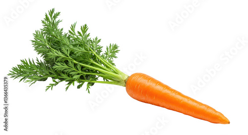Bild auf Leinwand Isolated Carrot with Green Top