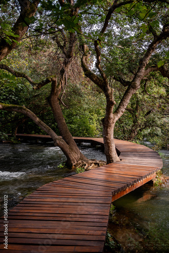 Scenic wooden walkway winding over a tranquil stream, enveloped by lush trees in Krka national park, Croatia, offers a peaceful retreat for nature lovers