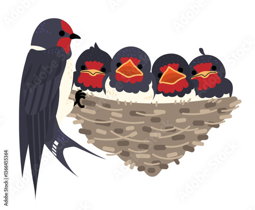 Swallow Family: Nurturing in the Nest