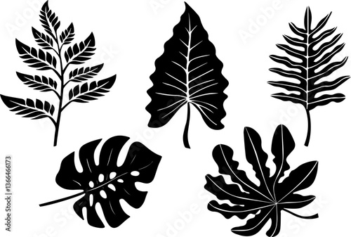 Set of exotic leaf silhouettes in vector style