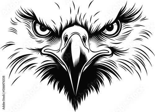 Head of an eagle vector | Eagle face vector | Wild Bird Clipart | Big Bald Eagle Stencil | Realistic Eagle Head |  T-shirt Design - Instant Digital Download file