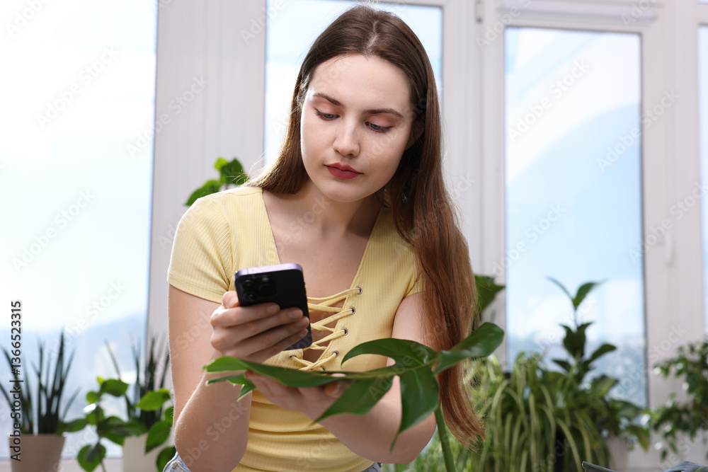Woman using houseplant recognition application on smartphone indoors Woman using houseplant recognition application on smartphone indoors