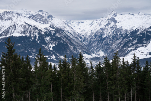 Cloudy January alpine landscape with mountains, trees, Austria.