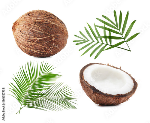 Fresh coconuts and green palm leaves isolated on white