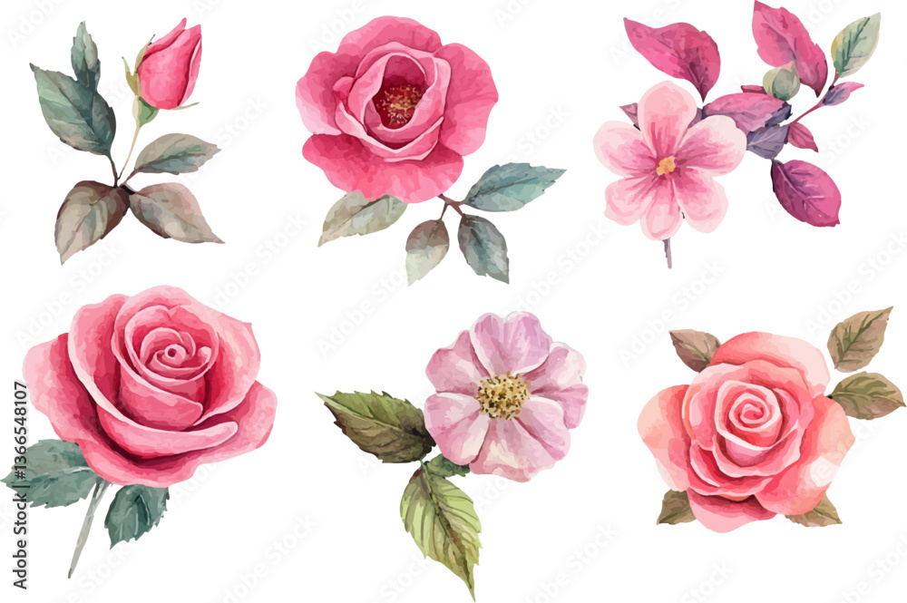Naklejka premium set of pink roses