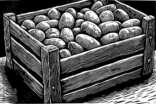 potatoes vegetable hand drawn sketch black and white illustration