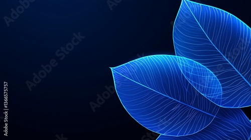 Blue leaves illuminated by a soft glowing light on dark background