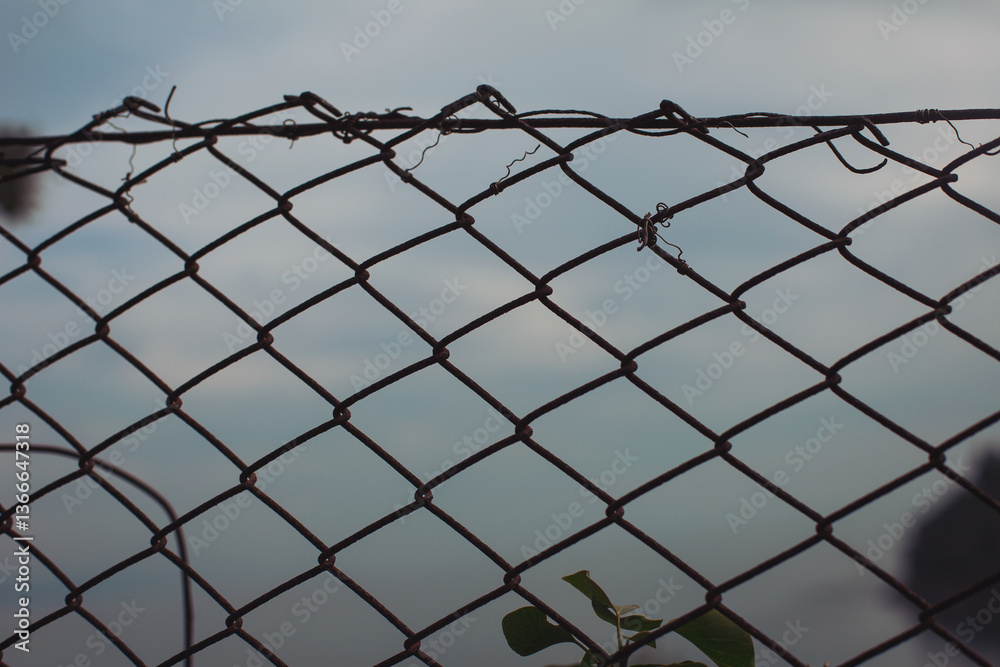 Rusty chain link fence adorned with green vines against a cloudy sky captures the essence of nature reclaiming urban spaces in a tranquil setting