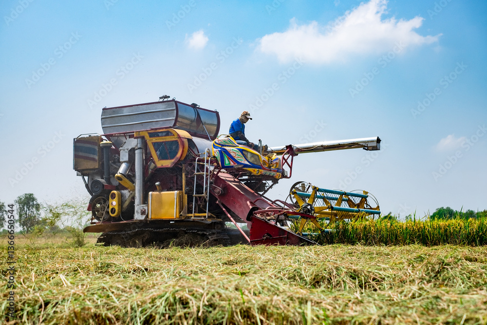 Fototapeta premium Harvesting action on modern combine harvester in rural field agricultural environment dynamic viewpoint