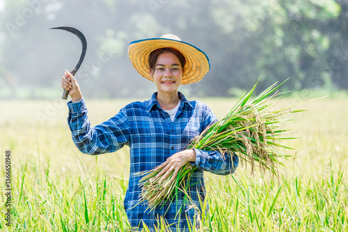 Harvesting rice rural farm photographic image lush green environment smiling perspective agricultural concept