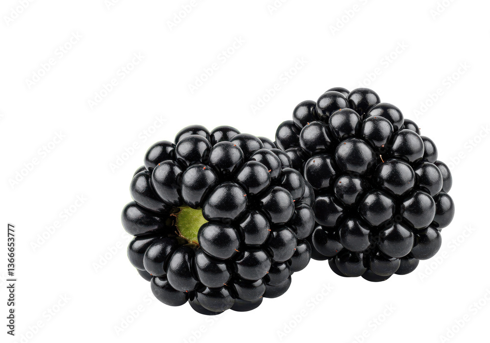 Two blackberries close up on a black background showcasing their textured surface and vibrant color details Two blackberries close up on a black background showcasing their textured surface and vibrant color details