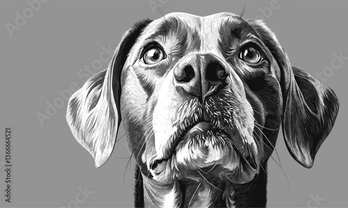 Realistic dog portrait on gray background with intense eyes - vector