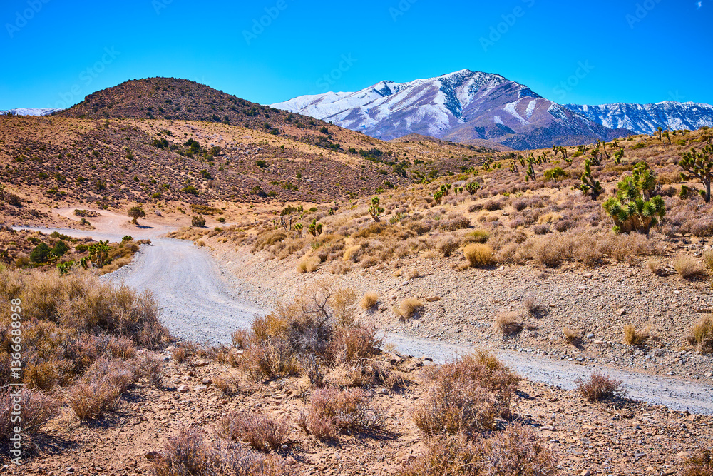 Desert Path to Snowy Peaks Mt Charleston Eye-Level View
