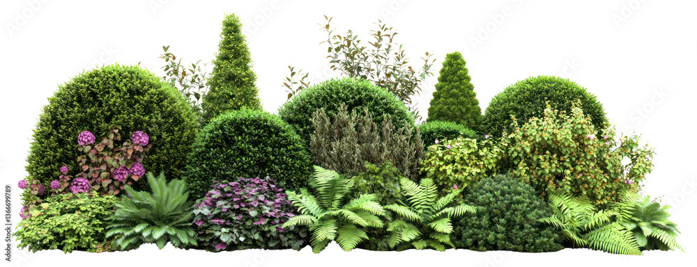 PNG Garden nature plants shapes.
