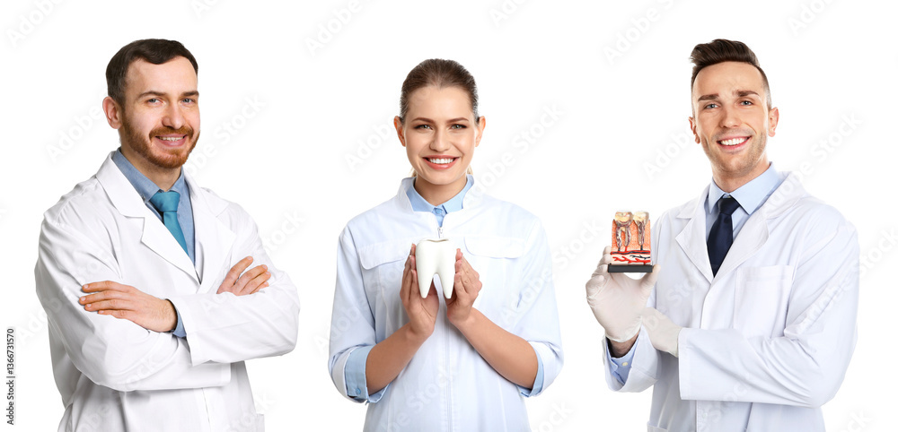 Dentists on white background. Group of specialists