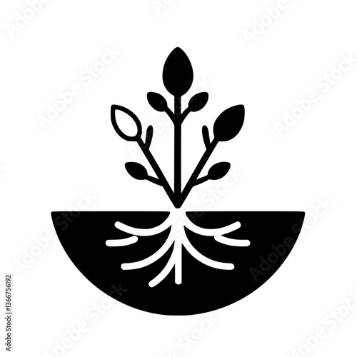 Black & White Plant Growth: Roots & Shoots