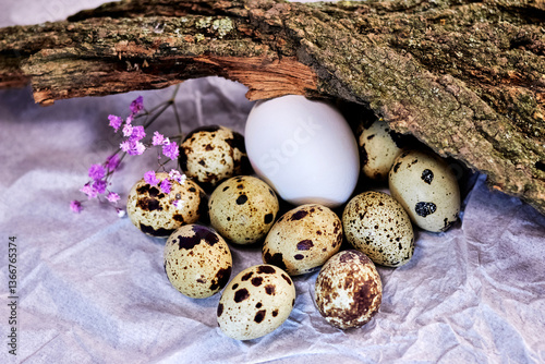 scattering of quail eggs and one white egg with a pink flower on paper background under a snag, concept of naturalness, spring growth and new life