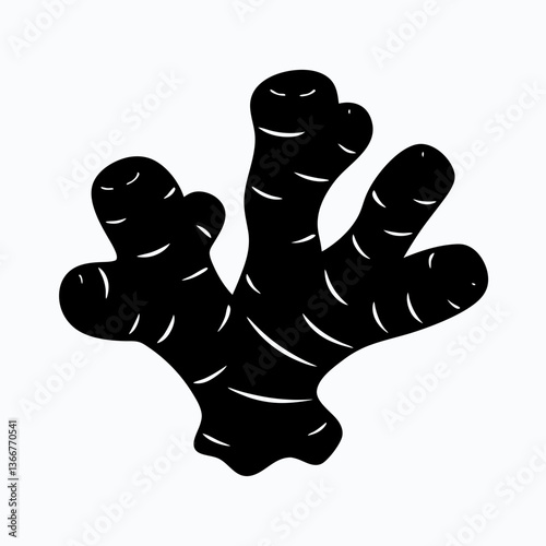 Ginger root silhouette ,  Ginger root vector