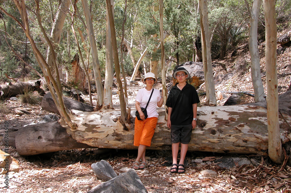 Tourists leaning on the fallen Eucalyptus Gum Tree. West MacDonnell National Park. Northern Territory. Australia.
