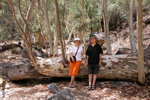 Obraz na płótnie Tourists leaning on the fallen Eucalyptus Gum Tree. West MacDonnell National Park. Northern Territory. Australia. w salonie