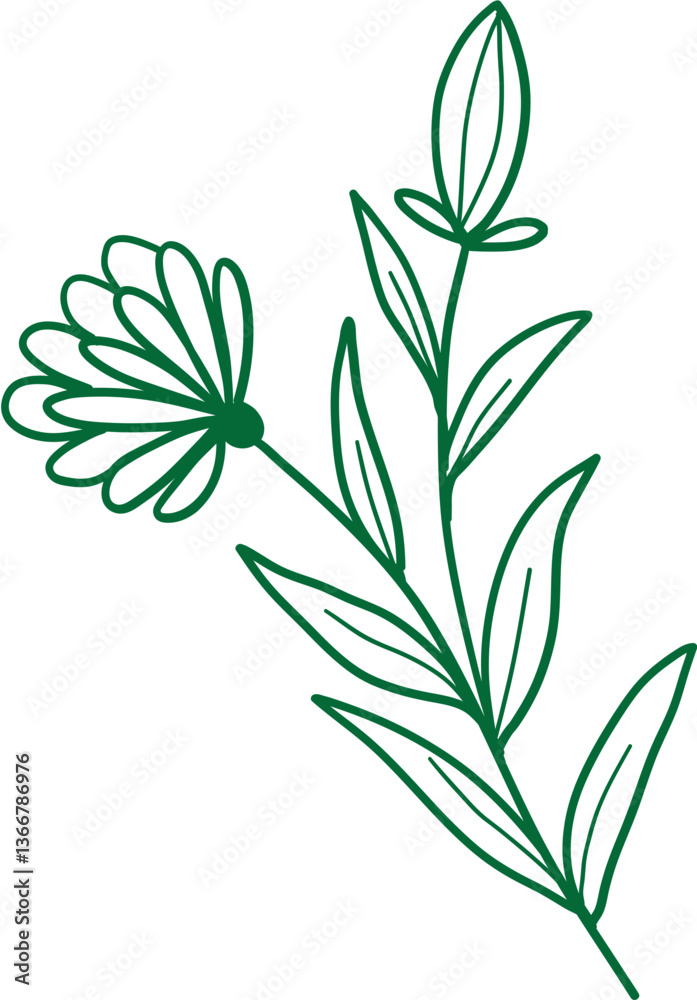 Fototapeta premium Stylized Leaf Vector Element