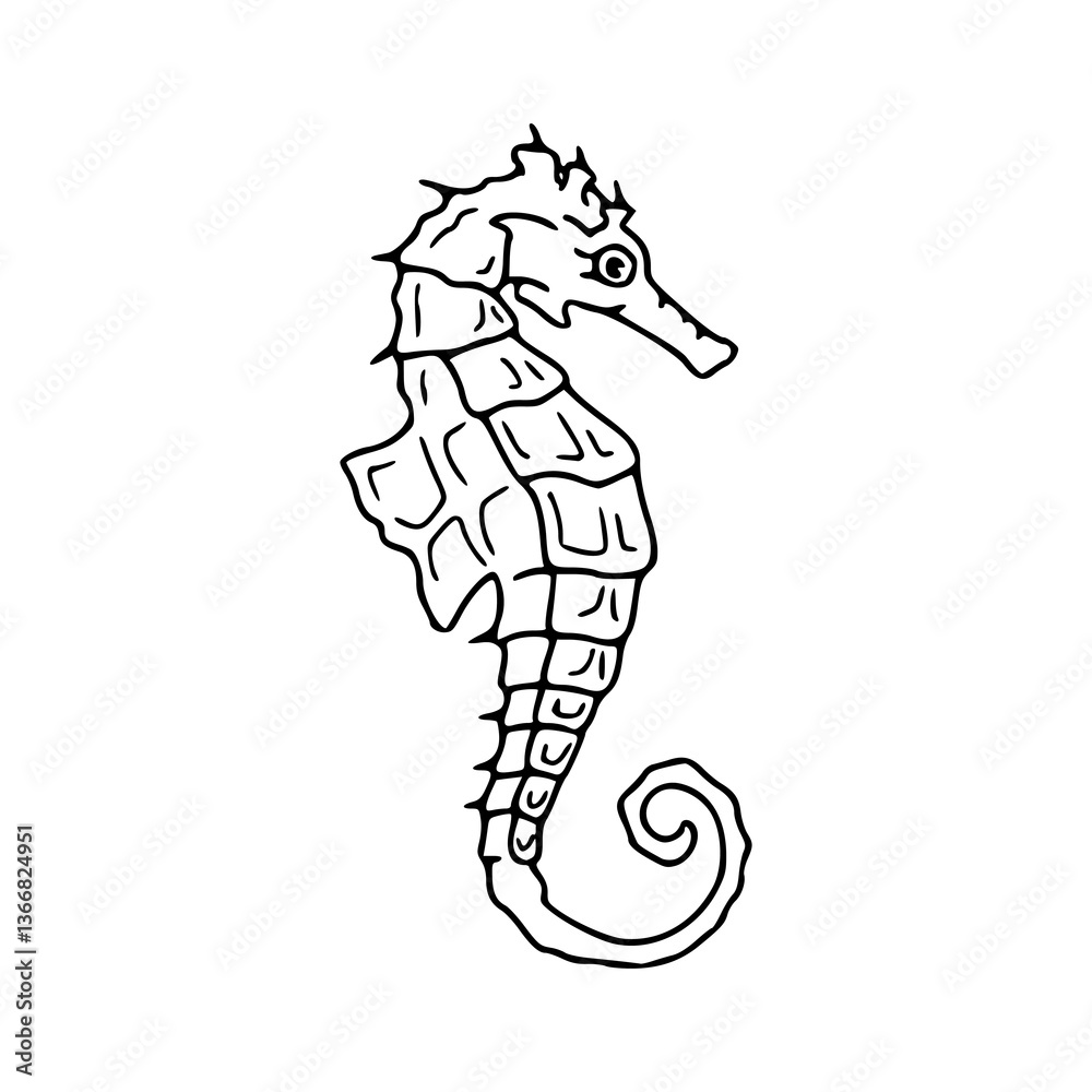 Fototapeta premium outline drawing of a seahorse