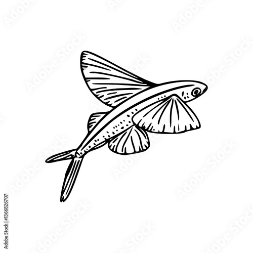 marine flying fish design