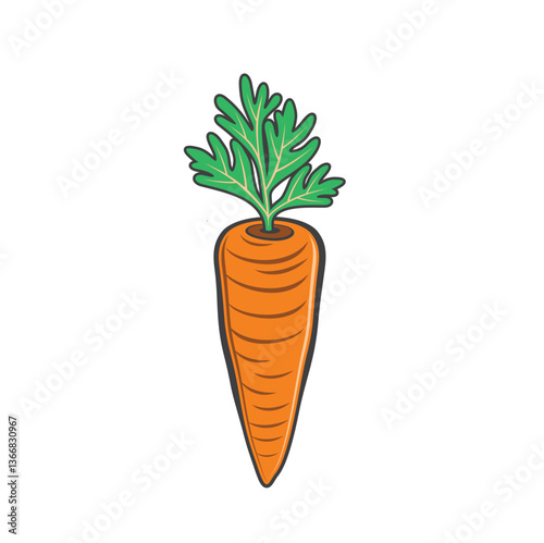 Carrots, are vegetables that are tubers that come from the roots of plants.