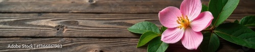 Delicate wooden flower on rustic wood background, texture, wooden