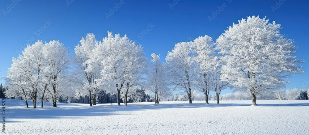 Frosty Winter Landscape with Snow-Covered Trees and Clear Blue Sky