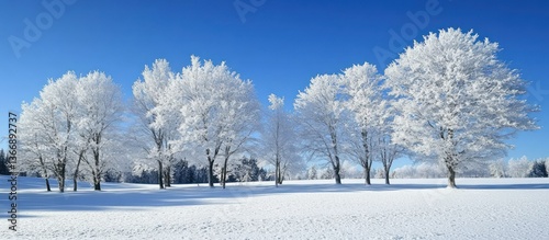 Obraz na płótnie Frosty Winter Landscape with Snow-Covered Trees and Clear Blue Sky w salonie