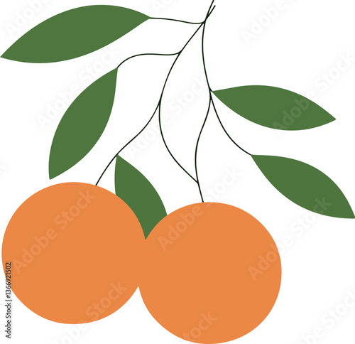 Two Oranges on a Branch