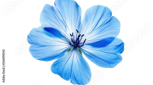 Wallpaper Mural A close up image shows a beautiful blue flower detail Torontodigital.ca