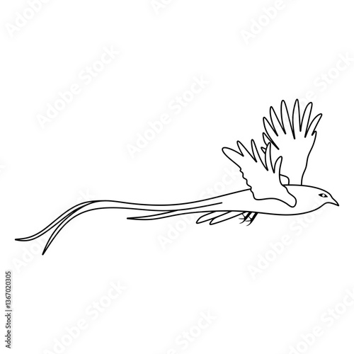 quetzal