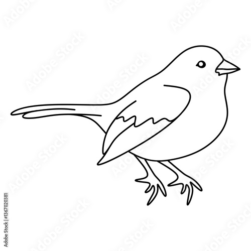 sparrow