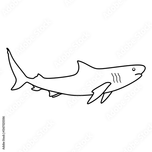 shark